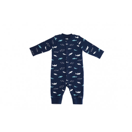 CAN GO šliaužtinukas Shark 167