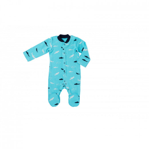 CAN GO šliaužtinukas Shark 166